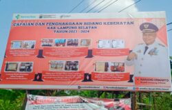 Berikut Capaian Prestasi Nanang Ermanto di Bidang Kesehatan