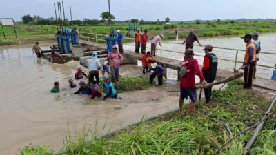 Banjir Rendam Puluhan Rumah dan Areal Persawahan di Kualasekampung