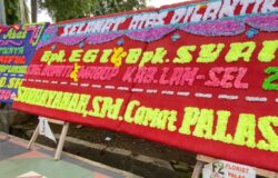 Jelang Pelantikan Bupati dan Wakil Bupati Lamsel, Camat dan 21 Kades di Palas Kompak beri Ucapan Selamat