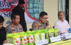 Berkat Pengetatan di Pelabuhan Bakauheni, Polres Lamsel Gagalkan 4 Kg Ganja