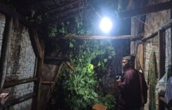 Cuaca Ekstrem, Dua Rumah Warga Bumi Restu Tertimpa Pohon dan Tersambar Petir