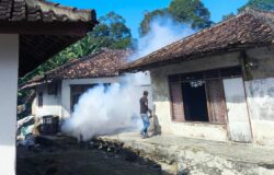 Tecatat 16 Kasus DBD, Warga Sragi Diminta Aktif PSN