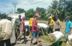 Bulog Lampung Selatan Mulai Serap Gabah Petani Sesuai HPP Terbaru