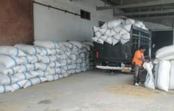 Sebagai Mitra Maklon, PT PMP Awali Serap Gabah 220 Ton