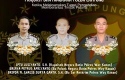 Tiga Anggota Polres Way Kanan Gugur Saat Bertugas Gerebek Judi Sabung Ayam