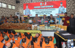 Ungkap 24 Kasus Narkoba, Polres Lamsel Amankan Ratusan Kilogram Sabu dan Ganja
