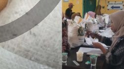 Gawat!! Bulog Kalianda Diduga Salurkan Bantuan Pangan Beras Berkutu di Palas