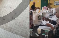 Gawat!! Bulog Kalianda Diduga Salurkan Bantuan Pangan Beras Berkutu di Palas