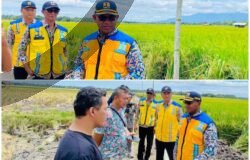 Kepala BBWS Cek Program P3-TGAI, Petani Palas Aji Optimis Produktivitas Naik