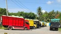 Jelang Hari Raya Idulfitri, Bulog Lamsel Tingkatkan Pelayanan Penyerapan Gabah